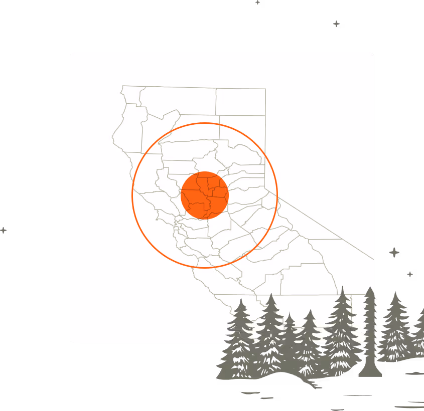 Illustration of a map and a forest